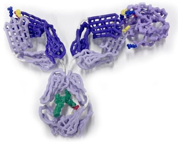 Antibody Mighty model