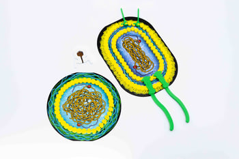Bacteria Expansion Pack