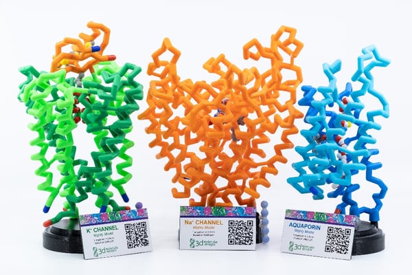 Mighty Model Channel Protein Collection©