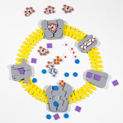 Phospholipid & Membrane Transport Kit - PMTK