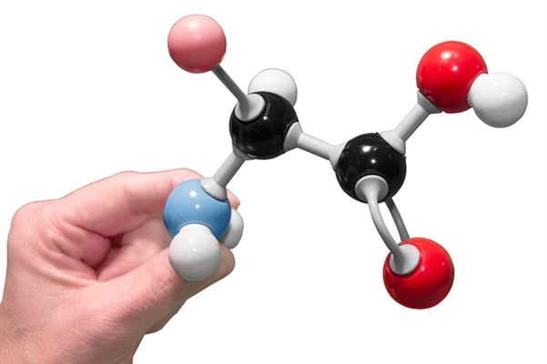Amino Acid Building Blocks 4