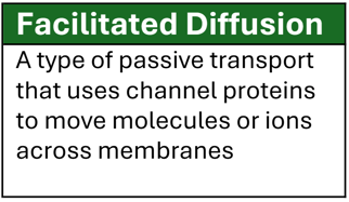 Screenshot 2025-02-26 091724