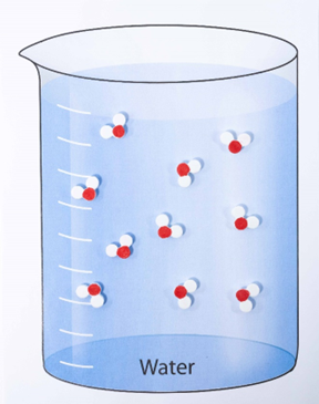 A beaker with a blue liquid labeled water. Models of water molecules have been scattered inside randomly.