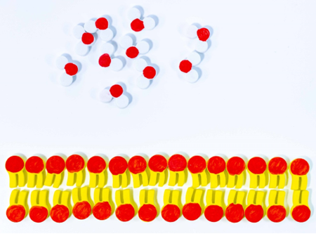 An image of a phospholipid bilayer with water molecules on one side of the membrane.
