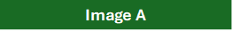 Text Box