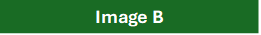 Text Box