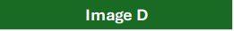 Text Box