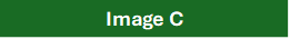 Text Box