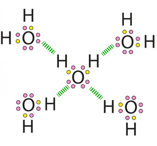 A diagram four water molecules hydrogen bonding to a central, fifth water molecule. Each hydrogen in the central water molecule is bonding with an oxygen from another water molecule. Each oxygen in the central water molecule is hydrogen bonding with a hydrogen from other water molecules.