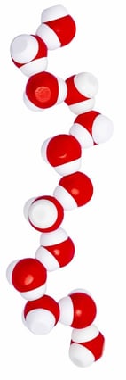 A chain of 13 water molecules hydrogen bonded to two other molecules