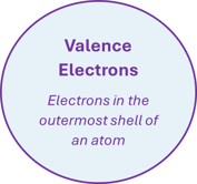 vector5