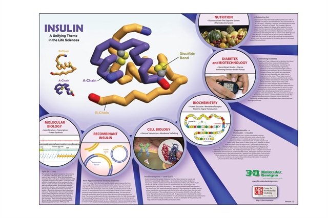 3DMDInsulinPoster-1 3DMDInsulinPoster-1